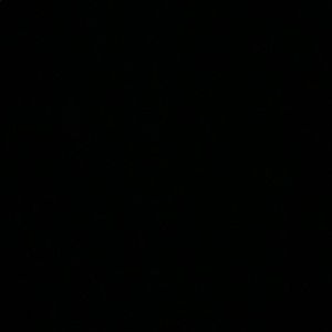 Meet your Posher, Perry